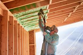 Types of Insulation We Offer in Hauula, HI